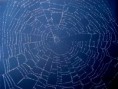 HORNET: Rrjeti anonim, alternative Tor